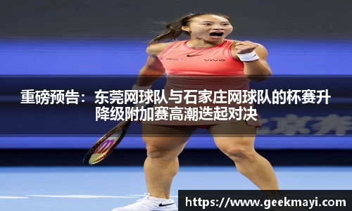 重磅预告：东莞网球队与石家庄网球队的杯赛升降级附加赛高潮迭起对决