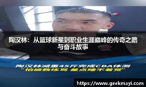 陶汉林：从篮球新星到职业生涯巅峰的传奇之路与奋斗故事